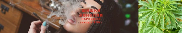 COCAINE Белокуриха