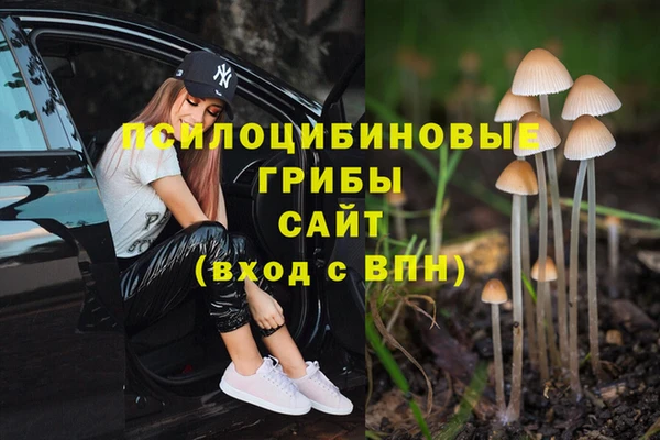 COCAINE Белокуриха