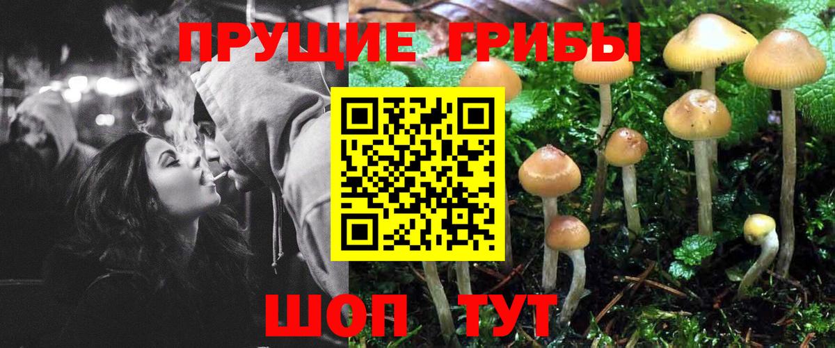 Галлюциногенные грибы ЛСД Сланцы