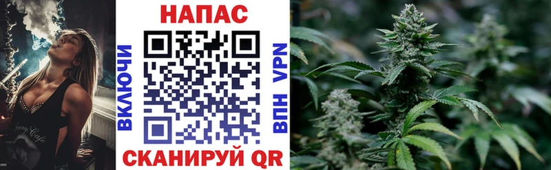 Каннабис план  Сланцы 